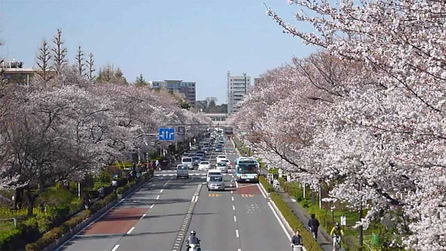 Youtube 国立の四季